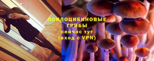 прущие грибы Алзамай