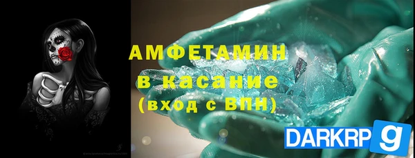прущие грибы Алзамай