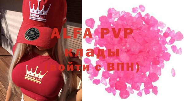 прущие грибы Алзамай