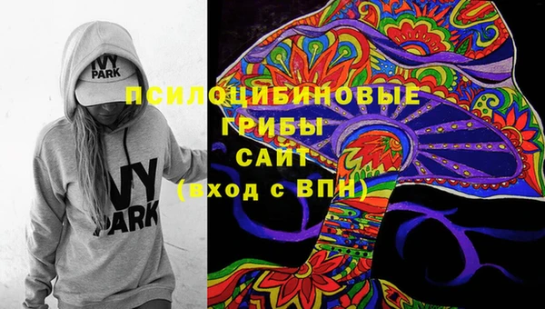 прущие грибы Алзамай