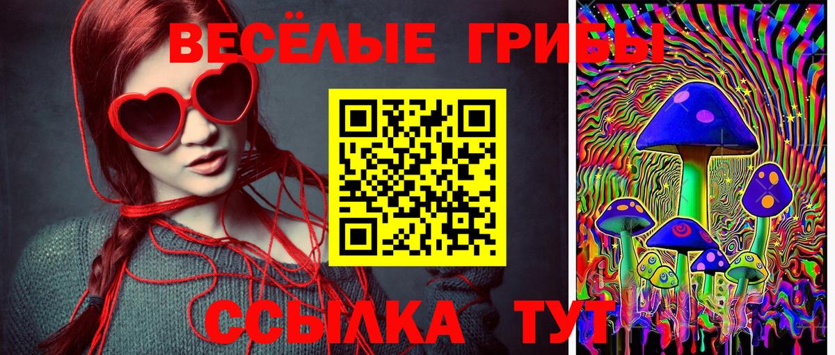 Аргун  Псилоцибиновые грибы мицелий  Вход с VPN 