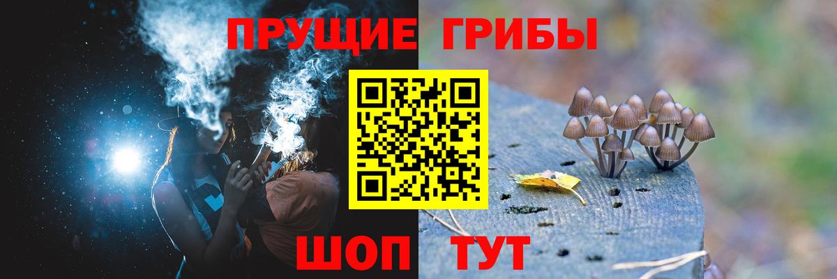 Галлюциногенные грибы ЛСД Аргун